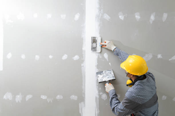 Best Mold-Related Health Consultation  in Lacoste, TX