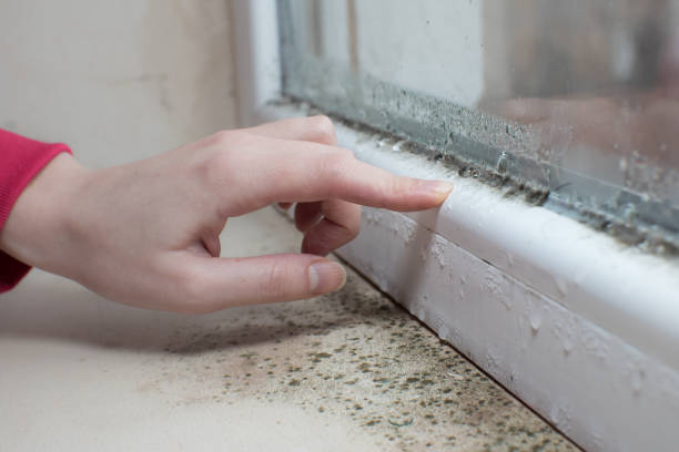 Best Post-Remediation Verification Testing  in Lacoste, TX