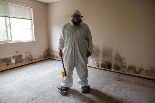 Best HVAC Mold Inspection and Cleaning  in Lacoste, TX