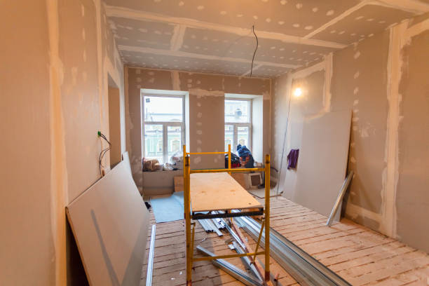 Lacoste, TX Mold Removal Company